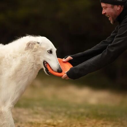 Non-stop Dogwear - Dog Flying Disc