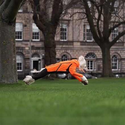 Non-stop Dogwear - Fjord Overall Raincoat