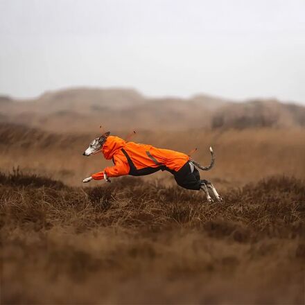 Non-stop Dogwear - Fjord Overall Raincoat