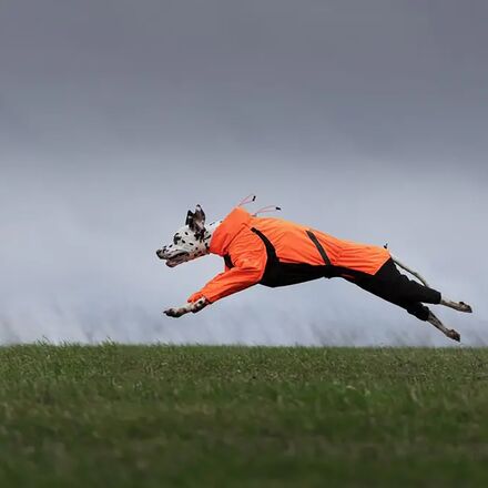 Non-stop Dogwear - Fjord Overall Raincoat