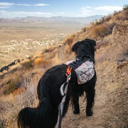 Non-stop Dogwear - Trail Light Dog Backpack