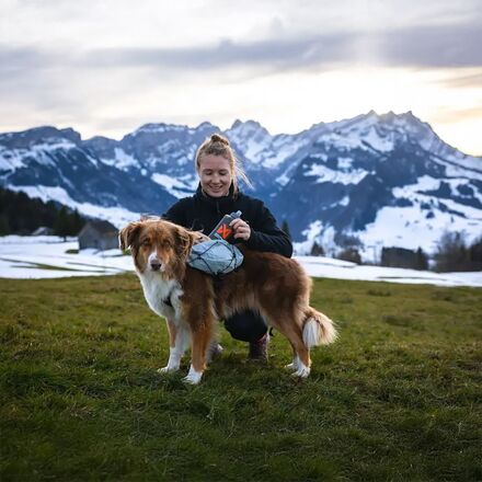 Non-stop Dogwear - Trail Light Dog Backpack