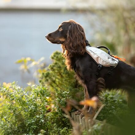 Non-stop Dogwear - Trail Light Dog Backpack