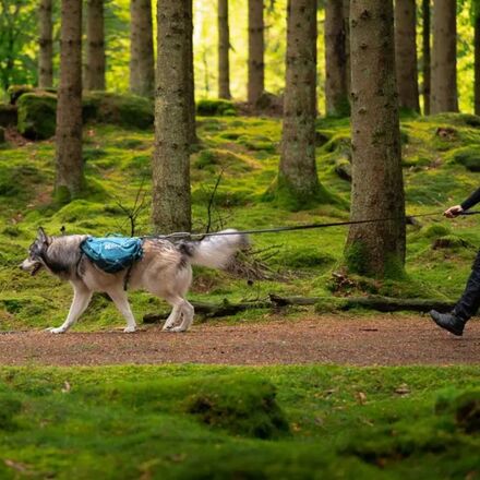 Non-stop Dogwear - Trail Quest Dog Backpack