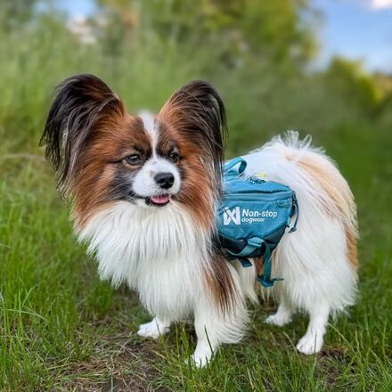 Non-stop Dogwear - Trail Quest Dog Backpack