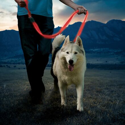 Nite Ize - NiteDog Rechargeable LED Leash