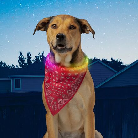 Nite Ize - NiteHowl Rechargeable LED Safety Necklace