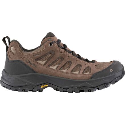 Sawtooth Ascent Low B-DRY Hiking Shoe - Men's