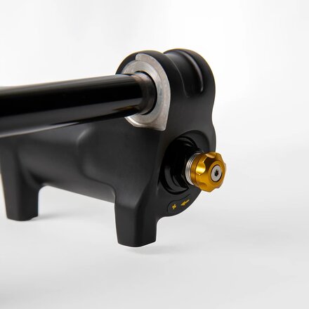 Ohlins - RXF36 m.3 29in Fork