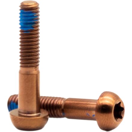Titanium Screw Set (2 pcs)