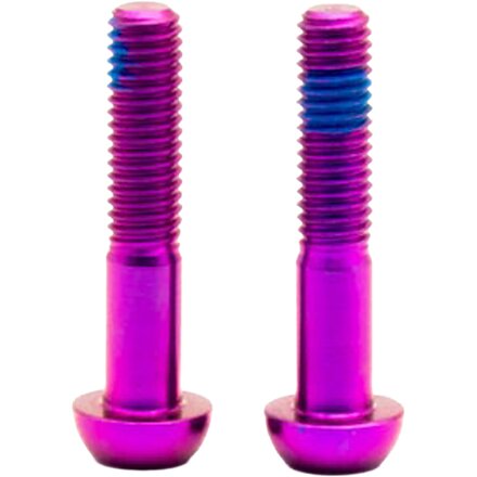 Titanium Screw Set (2 pcs)