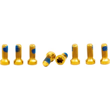 Titanium Screw Set (8 pcs)