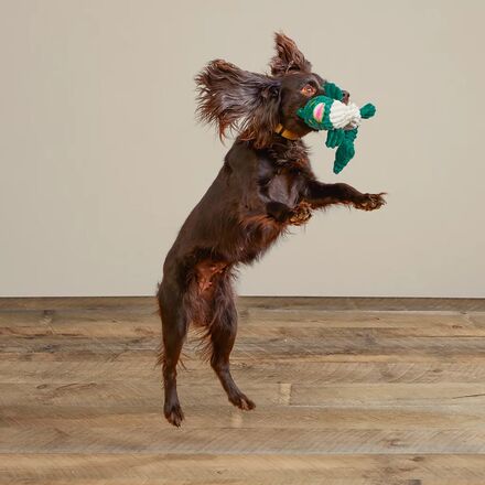 Orvis - Mini Animal Squeaky Toys