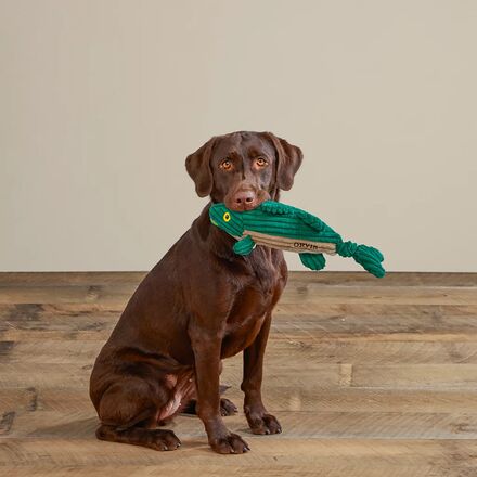 Orvis - Mini Animal Squeaky Toys