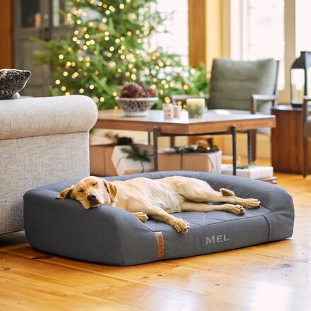Orvis - RecoveryZone Couch Dog Bed