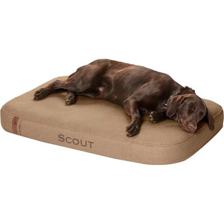 Recoveryzone Tough Chew Lounger Bed