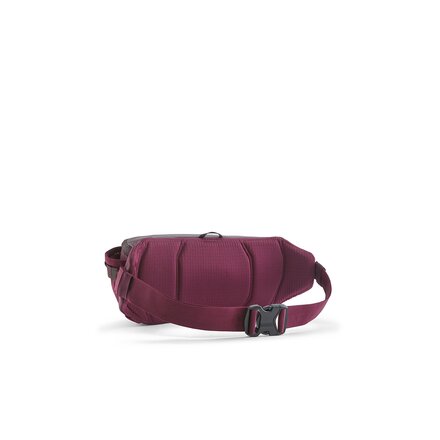 Patagonia - Black Hole 5L Waist Pack