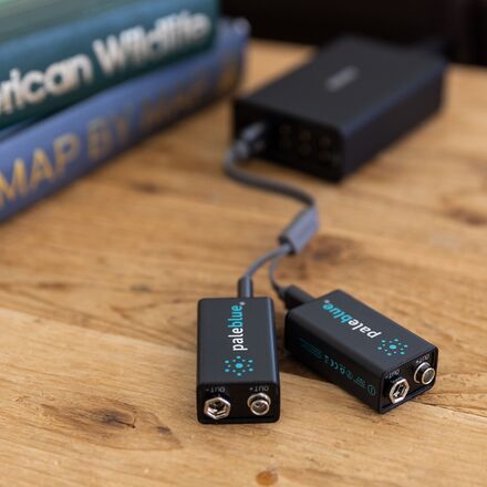 Pale Blue Earth - Lithium Ion Rechargeable 9V Batteries