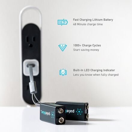 Pale Blue Earth - Lithium Ion Rechargeable 9V Batteries