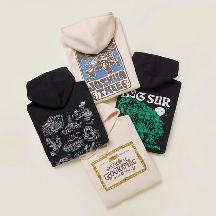 Parks Project - Joshua Tree Tortuga Hoodie