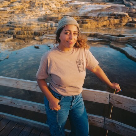 Parks Project - Hydrothermal Study T-Shirt