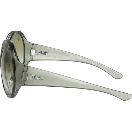 Ray-Ban - RB4345 Sunglasses