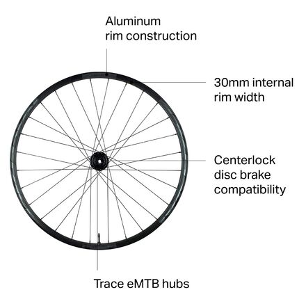 Race Face - Aeffect R 30 eMTB Boost Wheels - 29in - Black, Rear