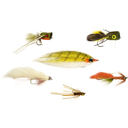 Bass Assortment - 6-Pack