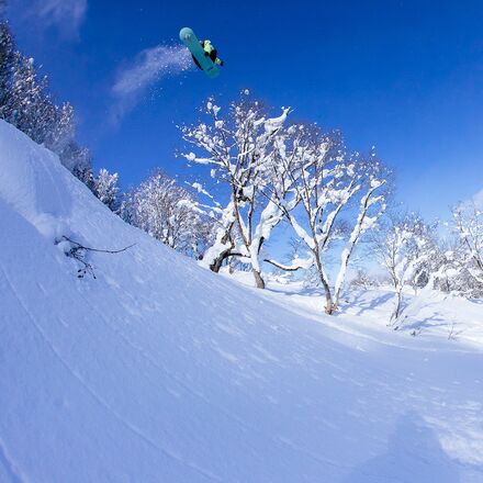 Rome - Stale Fish Snowboard - 2026