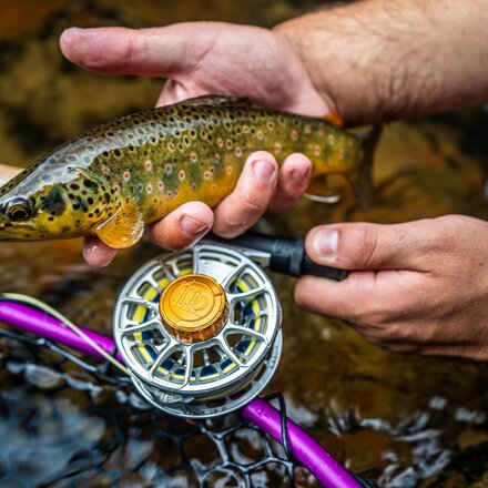 Ross - Animas Fly Reel