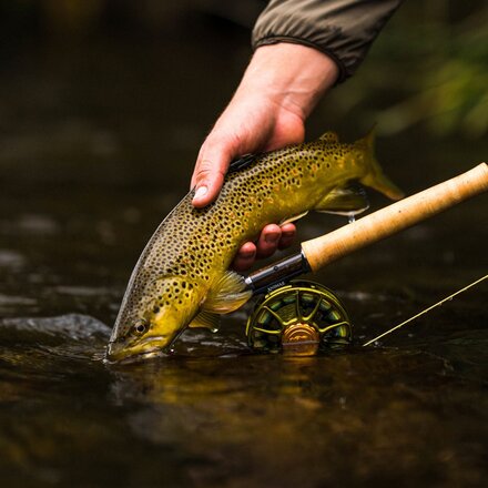 Ross - Animas Fly Reel