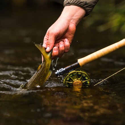 Ross - Animas Fly Reel