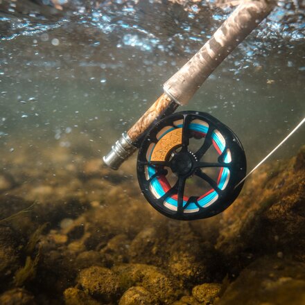 Ross - Colorado Reel