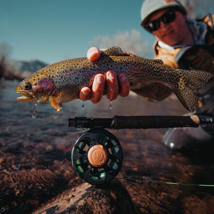 Ross - Cimarron Fly Reel