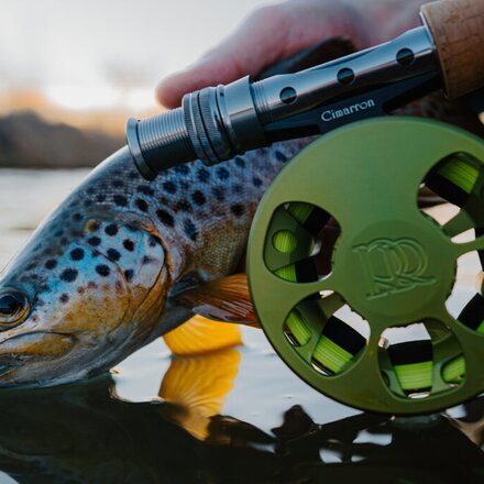 Ross - Cimarron Creek Fly Reel