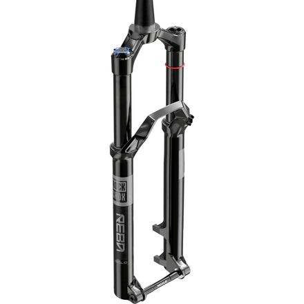Reba Gold Isolator 29in Boost Fork