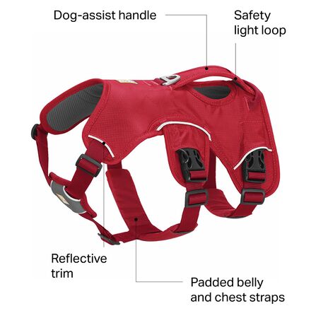 Ruffwear - Web Master Dog Harness