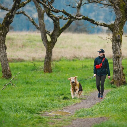 Ruffwear - Sun Shower Jacket
