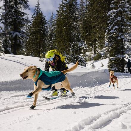 Ruffwear - Vert Jacket