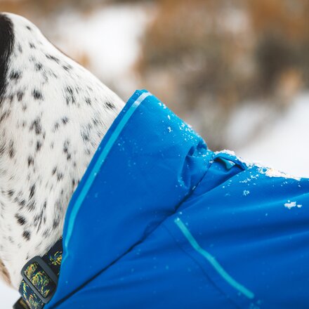 Ruffwear - Vert Jacket