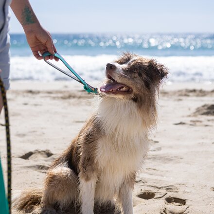 Ruffwear - Front Range Short Leash