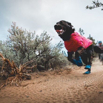 Ruffwear - Hi + Light Trail Dog Shoes
