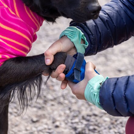 Ruffwear - Hi + Light Trail Dog Shoes