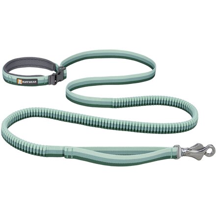 Roamer Leash