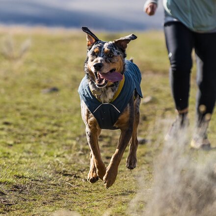 Ruffwear - Stumptown Dog Jacket