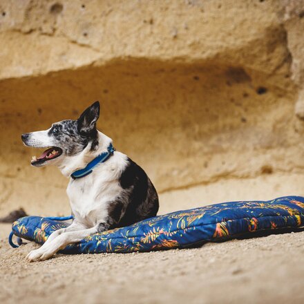 Ruffwear - Basecamp Bed