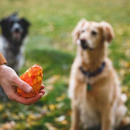 Ruffwear - Gnawt-A-Cone