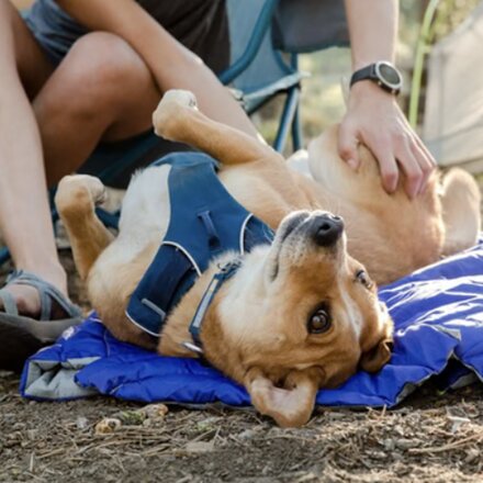 Ruffwear - Highlands Dog Sleeping Bag