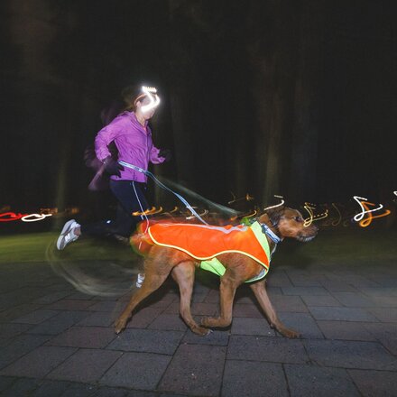 Ruffwear - Lumenglow High-Vis Jacket