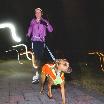 Ruffwear - Lumenglow High-Vis Jacket